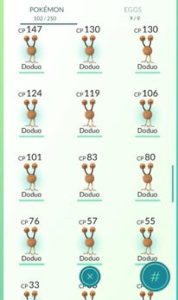 Doduo, a lot of them