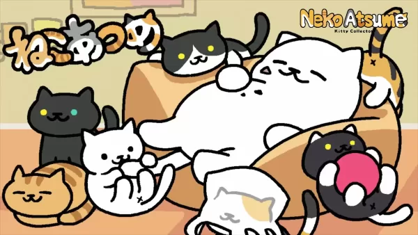 neko_2