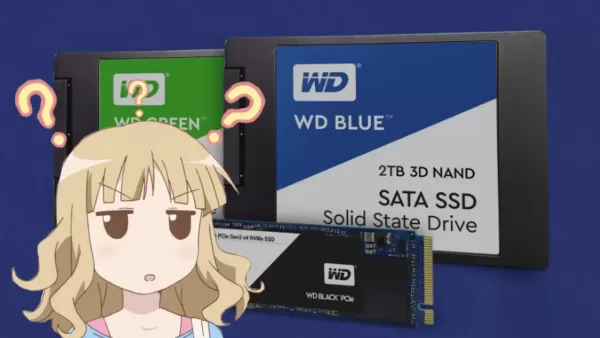 WD_SSD_Decision_Cover