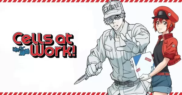 cells_at_work_anime_educational