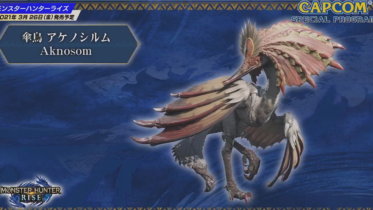 reveals new Monster Hunter Rise details at TGS 2020