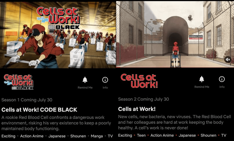 Cells at Work: Code Black [Manga Review]