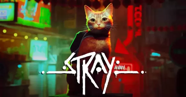 stray_game_review