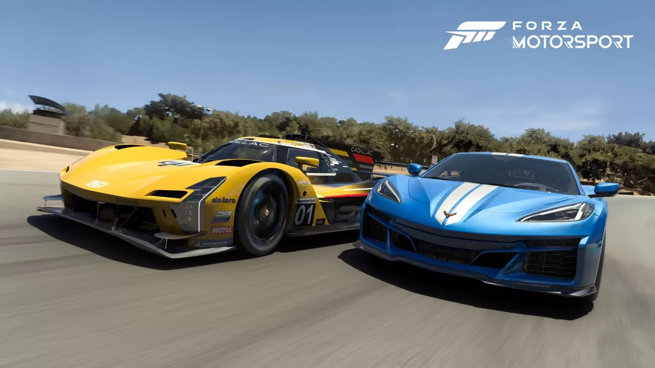 Forza Motorsport multiplayer
