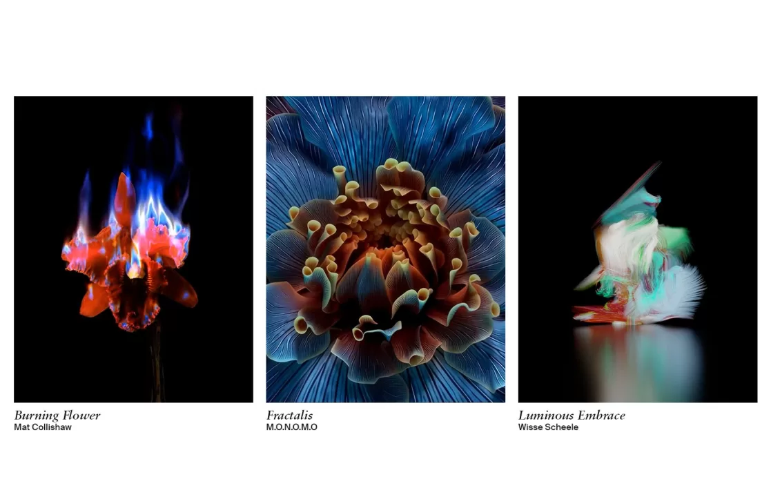 LG partners with Sedition to bring new digital art to LG Gallery+